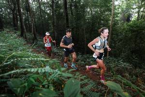 BIB: 
                            <button type="button" onclick="openModal(22480300)" class="btn btn-primary btn-sm float-right btn-popup" data-toggle="modal" data-target=".modal-high-quality">
                        <i class="fas fa-shopping-cart"></i> Add to Cart
                    </button>
                                            <button type="button" onclick="isThisMe(22480300, true)" class="btn btn-success btn-sm float-right btn-popup btn-isme hidden" data-toggle="tooltip" data-placement="bottom" title="นี่คือรูปของคุณใช่ไหม คลิกที่นี่เพื่อเอาเข้าอัลบั้ม">
                        <i class="fas fa-plus"></i> Add to album
                    </button>
                    <button type="button" onclick="isThisMe(22480300, false)" class="btn btn-warning btn-sm float-right btn-popup btn-isnotme hidden">
                        <i class="fas fa-ban"></i> Remove from album
                    </button>