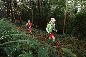 BIB: 
                            <button type="button" onclick="openModal(22464604)" class="btn btn-primary btn-sm float-right btn-popup" data-toggle="modal" data-target=".modal-high-quality">
                        <i class="fas fa-shopping-cart"></i> Add to Cart
                    </button>
                                            <button type="button" onclick="isThisMe(22464604, true)" class="btn btn-success btn-sm float-right btn-popup btn-isme hidden" data-toggle="tooltip" data-placement="bottom" title="นี่คือรูปของคุณใช่ไหม คลิกที่นี่เพื่อเอาเข้าอัลบั้ม">
                        <i class="fas fa-plus"></i> Add to album
                    </button>
                    <button type="button" onclick="isThisMe(22464604, false)" class="btn btn-warning btn-sm float-right btn-popup btn-isnotme hidden">
                        <i class="fas fa-ban"></i> Remove from album
                    </button>