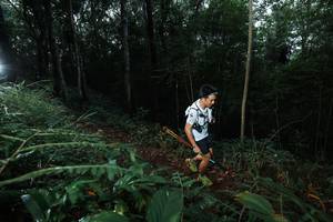 BIB: 
                            <button type="button" onclick="openModal(22451911)" class="btn btn-primary btn-sm float-right btn-popup" data-toggle="modal" data-target=".modal-high-quality">
                        <i class="fas fa-shopping-cart"></i> Add to Cart
                    </button>
                                            <button type="button" onclick="isThisMe(22451911, true)" class="btn btn-success btn-sm float-right btn-popup btn-isme hidden" data-toggle="tooltip" data-placement="bottom" title="นี่คือรูปของคุณใช่ไหม คลิกที่นี่เพื่อเอาเข้าอัลบั้ม">
                        <i class="fas fa-plus"></i> Add to album
                    </button>
                    <button type="button" onclick="isThisMe(22451911, false)" class="btn btn-warning btn-sm float-right btn-popup btn-isnotme hidden">
                        <i class="fas fa-ban"></i> Remove from album
                    </button>