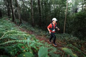 BIB: 
                            <button type="button" onclick="openModal(22479545)" class="btn btn-primary btn-sm float-right btn-popup" data-toggle="modal" data-target=".modal-high-quality">
                        <i class="fas fa-shopping-cart"></i> Add to Cart
                    </button>
                                            <button type="button" onclick="isThisMe(22479545, true)" class="btn btn-success btn-sm float-right btn-popup btn-isme hidden" data-toggle="tooltip" data-placement="bottom" title="นี่คือรูปของคุณใช่ไหม คลิกที่นี่เพื่อเอาเข้าอัลบั้ม">
                        <i class="fas fa-plus"></i> Add to album
                    </button>
                    <button type="button" onclick="isThisMe(22479545, false)" class="btn btn-warning btn-sm float-right btn-popup btn-isnotme hidden">
                        <i class="fas fa-ban"></i> Remove from album
                    </button>