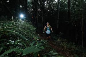 BIB: 
                            <button type="button" onclick="openModal(22447683)" class="btn btn-primary btn-sm float-right btn-popup" data-toggle="modal" data-target=".modal-high-quality">
                        <i class="fas fa-shopping-cart"></i> Add to Cart
                    </button>
                                            <button type="button" onclick="isThisMe(22447683, true)" class="btn btn-success btn-sm float-right btn-popup btn-isme hidden" data-toggle="tooltip" data-placement="bottom" title="นี่คือรูปของคุณใช่ไหม คลิกที่นี่เพื่อเอาเข้าอัลบั้ม">
                        <i class="fas fa-plus"></i> Add to album
                    </button>
                    <button type="button" onclick="isThisMe(22447683, false)" class="btn btn-warning btn-sm float-right btn-popup btn-isnotme hidden">
                        <i class="fas fa-ban"></i> Remove from album
                    </button>