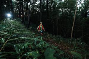 BIB: 
                            <button type="button" onclick="openModal(22450641)" class="btn btn-primary btn-sm float-right btn-popup" data-toggle="modal" data-target=".modal-high-quality">
                        <i class="fas fa-shopping-cart"></i> Add to Cart
                    </button>
                                            <button type="button" onclick="isThisMe(22450641, true)" class="btn btn-success btn-sm float-right btn-popup btn-isme hidden" data-toggle="tooltip" data-placement="bottom" title="นี่คือรูปของคุณใช่ไหม คลิกที่นี่เพื่อเอาเข้าอัลบั้ม">
                        <i class="fas fa-plus"></i> Add to album
                    </button>
                    <button type="button" onclick="isThisMe(22450641, false)" class="btn btn-warning btn-sm float-right btn-popup btn-isnotme hidden">
                        <i class="fas fa-ban"></i> Remove from album
                    </button>