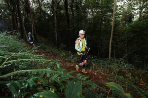 BIB: 
                            <button type="button" onclick="openModal(22462891)" class="btn btn-primary btn-sm float-right btn-popup" data-toggle="modal" data-target=".modal-high-quality">
                        <i class="fas fa-shopping-cart"></i> Add to Cart
                    </button>
                                            <button type="button" onclick="isThisMe(22462891, true)" class="btn btn-success btn-sm float-right btn-popup btn-isme hidden" data-toggle="tooltip" data-placement="bottom" title="นี่คือรูปของคุณใช่ไหม คลิกที่นี่เพื่อเอาเข้าอัลบั้ม">
                        <i class="fas fa-plus"></i> Add to album
                    </button>
                    <button type="button" onclick="isThisMe(22462891, false)" class="btn btn-warning btn-sm float-right btn-popup btn-isnotme hidden">
                        <i class="fas fa-ban"></i> Remove from album
                    </button>