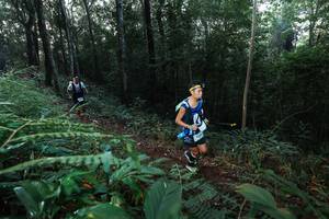 BIB: 
                            <button type="button" onclick="openModal(22465926)" class="btn btn-primary btn-sm float-right btn-popup" data-toggle="modal" data-target=".modal-high-quality">
                        <i class="fas fa-shopping-cart"></i> Add to Cart
                    </button>
                                            <button type="button" onclick="isThisMe(22465926, true)" class="btn btn-success btn-sm float-right btn-popup btn-isme hidden" data-toggle="tooltip" data-placement="bottom" title="นี่คือรูปของคุณใช่ไหม คลิกที่นี่เพื่อเอาเข้าอัลบั้ม">
                        <i class="fas fa-plus"></i> Add to album
                    </button>
                    <button type="button" onclick="isThisMe(22465926, false)" class="btn btn-warning btn-sm float-right btn-popup btn-isnotme hidden">
                        <i class="fas fa-ban"></i> Remove from album
                    </button>