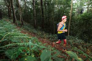 BIB: 
                            <button type="button" onclick="openModal(22481241)" class="btn btn-primary btn-sm float-right btn-popup" data-toggle="modal" data-target=".modal-high-quality">
                        <i class="fas fa-shopping-cart"></i> Add to Cart
                    </button>
                                            <button type="button" onclick="isThisMe(22481241, true)" class="btn btn-success btn-sm float-right btn-popup btn-isme hidden" data-toggle="tooltip" data-placement="bottom" title="นี่คือรูปของคุณใช่ไหม คลิกที่นี่เพื่อเอาเข้าอัลบั้ม">
                        <i class="fas fa-plus"></i> Add to album
                    </button>
                    <button type="button" onclick="isThisMe(22481241, false)" class="btn btn-warning btn-sm float-right btn-popup btn-isnotme hidden">
                        <i class="fas fa-ban"></i> Remove from album
                    </button>