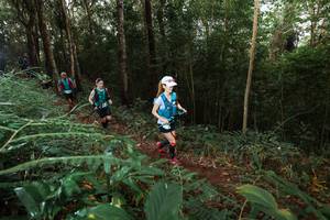 BIB: 
                            <button type="button" onclick="openModal(22464216)" class="btn btn-primary btn-sm float-right btn-popup" data-toggle="modal" data-target=".modal-high-quality">
                        <i class="fas fa-shopping-cart"></i> Add to Cart
                    </button>
                                            <button type="button" onclick="isThisMe(22464216, true)" class="btn btn-success btn-sm float-right btn-popup btn-isme hidden" data-toggle="tooltip" data-placement="bottom" title="นี่คือรูปของคุณใช่ไหม คลิกที่นี่เพื่อเอาเข้าอัลบั้ม">
                        <i class="fas fa-plus"></i> Add to album
                    </button>
                    <button type="button" onclick="isThisMe(22464216, false)" class="btn btn-warning btn-sm float-right btn-popup btn-isnotme hidden">
                        <i class="fas fa-ban"></i> Remove from album
                    </button>