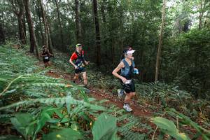 BIB: 
                            <button type="button" onclick="openModal(22484501)" class="btn btn-primary btn-sm float-right btn-popup" data-toggle="modal" data-target=".modal-high-quality">
                        <i class="fas fa-shopping-cart"></i> Add to Cart
                    </button>
                                            <button type="button" onclick="isThisMe(22484501, true)" class="btn btn-success btn-sm float-right btn-popup btn-isme hidden" data-toggle="tooltip" data-placement="bottom" title="นี่คือรูปของคุณใช่ไหม คลิกที่นี่เพื่อเอาเข้าอัลบั้ม">
                        <i class="fas fa-plus"></i> Add to album
                    </button>
                    <button type="button" onclick="isThisMe(22484501, false)" class="btn btn-warning btn-sm float-right btn-popup btn-isnotme hidden">
                        <i class="fas fa-ban"></i> Remove from album
                    </button>