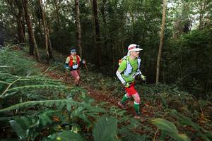 BIB: 
                            <button type="button" onclick="openModal(22464602)" class="btn btn-primary btn-sm float-right btn-popup" data-toggle="modal" data-target=".modal-high-quality">
                        <i class="fas fa-shopping-cart"></i> Add to Cart
                    </button>
                                            <button type="button" onclick="isThisMe(22464602, true)" class="btn btn-success btn-sm float-right btn-popup btn-isme hidden" data-toggle="tooltip" data-placement="bottom" title="นี่คือรูปของคุณใช่ไหม คลิกที่นี่เพื่อเอาเข้าอัลบั้ม">
                        <i class="fas fa-plus"></i> Add to album
                    </button>
                    <button type="button" onclick="isThisMe(22464602, false)" class="btn btn-warning btn-sm float-right btn-popup btn-isnotme hidden">
                        <i class="fas fa-ban"></i> Remove from album
                    </button>