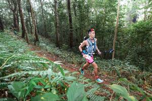 BIB: 
                            <button type="button" onclick="openModal(22485628)" class="btn btn-primary btn-sm float-right btn-popup" data-toggle="modal" data-target=".modal-high-quality">
                        <i class="fas fa-shopping-cart"></i> Add to Cart
                    </button>
                                            <button type="button" onclick="isThisMe(22485628, true)" class="btn btn-success btn-sm float-right btn-popup btn-isme hidden" data-toggle="tooltip" data-placement="bottom" title="นี่คือรูปของคุณใช่ไหม คลิกที่นี่เพื่อเอาเข้าอัลบั้ม">
                        <i class="fas fa-plus"></i> Add to album
                    </button>
                    <button type="button" onclick="isThisMe(22485628, false)" class="btn btn-warning btn-sm float-right btn-popup btn-isnotme hidden">
                        <i class="fas fa-ban"></i> Remove from album
                    </button>