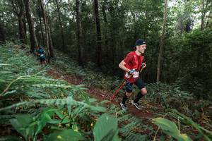 BIB: 
                            <button type="button" onclick="openModal(22484080)" class="btn btn-primary btn-sm float-right btn-popup" data-toggle="modal" data-target=".modal-high-quality">
                        <i class="fas fa-shopping-cart"></i> Add to Cart
                    </button>
                                            <button type="button" onclick="isThisMe(22484080, true)" class="btn btn-success btn-sm float-right btn-popup btn-isme hidden" data-toggle="tooltip" data-placement="bottom" title="นี่คือรูปของคุณใช่ไหม คลิกที่นี่เพื่อเอาเข้าอัลบั้ม">
                        <i class="fas fa-plus"></i> Add to album
                    </button>
                    <button type="button" onclick="isThisMe(22484080, false)" class="btn btn-warning btn-sm float-right btn-popup btn-isnotme hidden">
                        <i class="fas fa-ban"></i> Remove from album
                    </button>