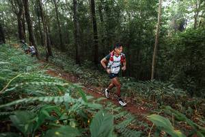 BIB: 2005
                            <button type="button" onclick="openModal(22482179)" class="btn btn-primary btn-sm float-right btn-popup" data-toggle="modal" data-target=".modal-high-quality">
                        <i class="fas fa-shopping-cart"></i> Add to Cart
                    </button>
                                            <button type="button" onclick="isThisMe(22482179, true)" class="btn btn-success btn-sm float-right btn-popup btn-isme hidden" data-toggle="tooltip" data-placement="bottom" title="นี่คือรูปของคุณใช่ไหม คลิกที่นี่เพื่อเอาเข้าอัลบั้ม">
                        <i class="fas fa-plus"></i> Add to album
                    </button>
                    <button type="button" onclick="isThisMe(22482179, false)" class="btn btn-warning btn-sm float-right btn-popup btn-isnotme hidden">
                        <i class="fas fa-ban"></i> Remove from album
                    </button>