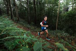 BIB: 
                            <button type="button" onclick="openModal(22483270)" class="btn btn-primary btn-sm float-right btn-popup" data-toggle="modal" data-target=".modal-high-quality">
                        <i class="fas fa-shopping-cart"></i> Add to Cart
                    </button>
                                            <button type="button" onclick="isThisMe(22483270, true)" class="btn btn-success btn-sm float-right btn-popup btn-isme hidden" data-toggle="tooltip" data-placement="bottom" title="นี่คือรูปของคุณใช่ไหม คลิกที่นี่เพื่อเอาเข้าอัลบั้ม">
                        <i class="fas fa-plus"></i> Add to album
                    </button>
                    <button type="button" onclick="isThisMe(22483270, false)" class="btn btn-warning btn-sm float-right btn-popup btn-isnotme hidden">
                        <i class="fas fa-ban"></i> Remove from album
                    </button>