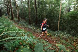 BIB: 9700
                            <button type="button" onclick="openModal(22479242)" class="btn btn-primary btn-sm float-right btn-popup" data-toggle="modal" data-target=".modal-high-quality">
                        <i class="fas fa-shopping-cart"></i> Add to Cart
                    </button>
                                            <button type="button" onclick="isThisMe(22479242, true)" class="btn btn-success btn-sm float-right btn-popup btn-isme hidden" data-toggle="tooltip" data-placement="bottom" title="นี่คือรูปของคุณใช่ไหม คลิกที่นี่เพื่อเอาเข้าอัลบั้ม">
                        <i class="fas fa-plus"></i> Add to album
                    </button>
                    <button type="button" onclick="isThisMe(22479242, false)" class="btn btn-warning btn-sm float-right btn-popup btn-isnotme hidden">
                        <i class="fas fa-ban"></i> Remove from album
                    </button>