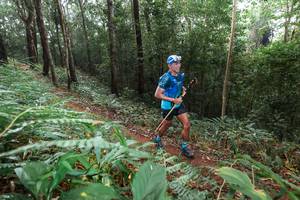 BIB: 
                            <button type="button" onclick="openModal(22484896)" class="btn btn-primary btn-sm float-right btn-popup" data-toggle="modal" data-target=".modal-high-quality">
                        <i class="fas fa-shopping-cart"></i> Add to Cart
                    </button>
                                            <button type="button" onclick="isThisMe(22484896, true)" class="btn btn-success btn-sm float-right btn-popup btn-isme hidden" data-toggle="tooltip" data-placement="bottom" title="นี่คือรูปของคุณใช่ไหม คลิกที่นี่เพื่อเอาเข้าอัลบั้ม">
                        <i class="fas fa-plus"></i> Add to album
                    </button>
                    <button type="button" onclick="isThisMe(22484896, false)" class="btn btn-warning btn-sm float-right btn-popup btn-isnotme hidden">
                        <i class="fas fa-ban"></i> Remove from album
                    </button>