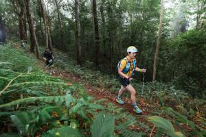 BIB: 
                            <button type="button" onclick="openModal(22478981)" class="btn btn-primary btn-sm float-right btn-popup" data-toggle="modal" data-target=".modal-high-quality">
                        <i class="fas fa-shopping-cart"></i> Add to Cart
                    </button>
                                            <button type="button" onclick="isThisMe(22478981, true)" class="btn btn-success btn-sm float-right btn-popup btn-isme hidden" data-toggle="tooltip" data-placement="bottom" title="นี่คือรูปของคุณใช่ไหม คลิกที่นี่เพื่อเอาเข้าอัลบั้ม">
                        <i class="fas fa-plus"></i> Add to album
                    </button>
                    <button type="button" onclick="isThisMe(22478981, false)" class="btn btn-warning btn-sm float-right btn-popup btn-isnotme hidden">
                        <i class="fas fa-ban"></i> Remove from album
                    </button>