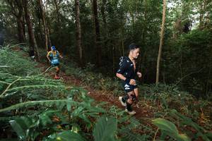 BIB: 
                            <button type="button" onclick="openModal(22464134)" class="btn btn-primary btn-sm float-right btn-popup" data-toggle="modal" data-target=".modal-high-quality">
                        <i class="fas fa-shopping-cart"></i> Add to Cart
                    </button>
                                            <button type="button" onclick="isThisMe(22464134, true)" class="btn btn-success btn-sm float-right btn-popup btn-isme hidden" data-toggle="tooltip" data-placement="bottom" title="นี่คือรูปของคุณใช่ไหม คลิกที่นี่เพื่อเอาเข้าอัลบั้ม">
                        <i class="fas fa-plus"></i> Add to album
                    </button>
                    <button type="button" onclick="isThisMe(22464134, false)" class="btn btn-warning btn-sm float-right btn-popup btn-isnotme hidden">
                        <i class="fas fa-ban"></i> Remove from album
                    </button>