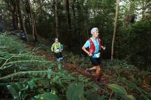 BIB: 
                            <button type="button" onclick="openModal(22464269)" class="btn btn-primary btn-sm float-right btn-popup" data-toggle="modal" data-target=".modal-high-quality">
                        <i class="fas fa-shopping-cart"></i> Add to Cart
                    </button>
                                            <button type="button" onclick="isThisMe(22464269, true)" class="btn btn-success btn-sm float-right btn-popup btn-isme hidden" data-toggle="tooltip" data-placement="bottom" title="นี่คือรูปของคุณใช่ไหม คลิกที่นี่เพื่อเอาเข้าอัลบั้ม">
                        <i class="fas fa-plus"></i> Add to album
                    </button>
                    <button type="button" onclick="isThisMe(22464269, false)" class="btn btn-warning btn-sm float-right btn-popup btn-isnotme hidden">
                        <i class="fas fa-ban"></i> Remove from album
                    </button>