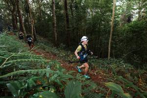 BIB: 
                            <button type="button" onclick="openModal(22464632)" class="btn btn-primary btn-sm float-right btn-popup" data-toggle="modal" data-target=".modal-high-quality">
                        <i class="fas fa-shopping-cart"></i> Add to Cart
                    </button>
                                            <button type="button" onclick="isThisMe(22464632, true)" class="btn btn-success btn-sm float-right btn-popup btn-isme hidden" data-toggle="tooltip" data-placement="bottom" title="นี่คือรูปของคุณใช่ไหม คลิกที่นี่เพื่อเอาเข้าอัลบั้ม">
                        <i class="fas fa-plus"></i> Add to album
                    </button>
                    <button type="button" onclick="isThisMe(22464632, false)" class="btn btn-warning btn-sm float-right btn-popup btn-isnotme hidden">
                        <i class="fas fa-ban"></i> Remove from album
                    </button>