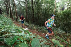 BIB: 
                            <button type="button" onclick="openModal(22485870)" class="btn btn-primary btn-sm float-right btn-popup" data-toggle="modal" data-target=".modal-high-quality">
                        <i class="fas fa-shopping-cart"></i> Add to Cart
                    </button>
                                            <button type="button" onclick="isThisMe(22485870, true)" class="btn btn-success btn-sm float-right btn-popup btn-isme hidden" data-toggle="tooltip" data-placement="bottom" title="นี่คือรูปของคุณใช่ไหม คลิกที่นี่เพื่อเอาเข้าอัลบั้ม">
                        <i class="fas fa-plus"></i> Add to album
                    </button>
                    <button type="button" onclick="isThisMe(22485870, false)" class="btn btn-warning btn-sm float-right btn-popup btn-isnotme hidden">
                        <i class="fas fa-ban"></i> Remove from album
                    </button>