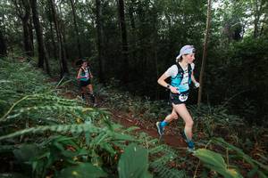 BIB: 
                            <button type="button" onclick="openModal(22480250)" class="btn btn-primary btn-sm float-right btn-popup" data-toggle="modal" data-target=".modal-high-quality">
                        <i class="fas fa-shopping-cart"></i> Add to Cart
                    </button>
                                            <button type="button" onclick="isThisMe(22480250, true)" class="btn btn-success btn-sm float-right btn-popup btn-isme hidden" data-toggle="tooltip" data-placement="bottom" title="นี่คือรูปของคุณใช่ไหม คลิกที่นี่เพื่อเอาเข้าอัลบั้ม">
                        <i class="fas fa-plus"></i> Add to album
                    </button>
                    <button type="button" onclick="isThisMe(22480250, false)" class="btn btn-warning btn-sm float-right btn-popup btn-isnotme hidden">
                        <i class="fas fa-ban"></i> Remove from album
                    </button>