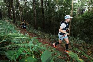 BIB: 
                            <button type="button" onclick="openModal(22487166)" class="btn btn-primary btn-sm float-right btn-popup" data-toggle="modal" data-target=".modal-high-quality">
                        <i class="fas fa-shopping-cart"></i> Add to Cart
                    </button>
                                            <button type="button" onclick="isThisMe(22487166, true)" class="btn btn-success btn-sm float-right btn-popup btn-isme hidden" data-toggle="tooltip" data-placement="bottom" title="นี่คือรูปของคุณใช่ไหม คลิกที่นี่เพื่อเอาเข้าอัลบั้ม">
                        <i class="fas fa-plus"></i> Add to album
                    </button>
                    <button type="button" onclick="isThisMe(22487166, false)" class="btn btn-warning btn-sm float-right btn-popup btn-isnotme hidden">
                        <i class="fas fa-ban"></i> Remove from album
                    </button>