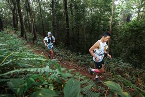 BIB: 
                            <button type="button" onclick="openModal(22482386)" class="btn btn-primary btn-sm float-right btn-popup" data-toggle="modal" data-target=".modal-high-quality">
                        <i class="fas fa-shopping-cart"></i> Add to Cart
                    </button>
                                            <button type="button" onclick="isThisMe(22482386, true)" class="btn btn-success btn-sm float-right btn-popup btn-isme hidden" data-toggle="tooltip" data-placement="bottom" title="นี่คือรูปของคุณใช่ไหม คลิกที่นี่เพื่อเอาเข้าอัลบั้ม">
                        <i class="fas fa-plus"></i> Add to album
                    </button>
                    <button type="button" onclick="isThisMe(22482386, false)" class="btn btn-warning btn-sm float-right btn-popup btn-isnotme hidden">
                        <i class="fas fa-ban"></i> Remove from album
                    </button>