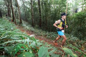 BIB: 
                            <button type="button" onclick="openModal(22485798)" class="btn btn-primary btn-sm float-right btn-popup" data-toggle="modal" data-target=".modal-high-quality">
                        <i class="fas fa-shopping-cart"></i> Add to Cart
                    </button>
                                            <button type="button" onclick="isThisMe(22485798, true)" class="btn btn-success btn-sm float-right btn-popup btn-isme hidden" data-toggle="tooltip" data-placement="bottom" title="นี่คือรูปของคุณใช่ไหม คลิกที่นี่เพื่อเอาเข้าอัลบั้ม">
                        <i class="fas fa-plus"></i> Add to album
                    </button>
                    <button type="button" onclick="isThisMe(22485798, false)" class="btn btn-warning btn-sm float-right btn-popup btn-isnotme hidden">
                        <i class="fas fa-ban"></i> Remove from album
                    </button>