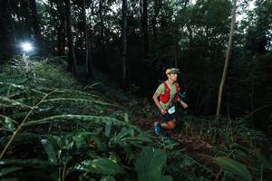 BIB: 
                            <button type="button" onclick="openModal(22450706)" class="btn btn-primary btn-sm float-right btn-popup" data-toggle="modal" data-target=".modal-high-quality">
                        <i class="fas fa-shopping-cart"></i> Add to Cart
                    </button>
                                            <button type="button" onclick="isThisMe(22450706, true)" class="btn btn-success btn-sm float-right btn-popup btn-isme hidden" data-toggle="tooltip" data-placement="bottom" title="นี่คือรูปของคุณใช่ไหม คลิกที่นี่เพื่อเอาเข้าอัลบั้ม">
                        <i class="fas fa-plus"></i> Add to album
                    </button>
                    <button type="button" onclick="isThisMe(22450706, false)" class="btn btn-warning btn-sm float-right btn-popup btn-isnotme hidden">
                        <i class="fas fa-ban"></i> Remove from album
                    </button>