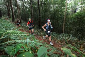 BIB: 
                            <button type="button" onclick="openModal(22484481)" class="btn btn-primary btn-sm float-right btn-popup" data-toggle="modal" data-target=".modal-high-quality">
                        <i class="fas fa-shopping-cart"></i> Add to Cart
                    </button>
                                            <button type="button" onclick="isThisMe(22484481, true)" class="btn btn-success btn-sm float-right btn-popup btn-isme hidden" data-toggle="tooltip" data-placement="bottom" title="นี่คือรูปของคุณใช่ไหม คลิกที่นี่เพื่อเอาเข้าอัลบั้ม">
                        <i class="fas fa-plus"></i> Add to album
                    </button>
                    <button type="button" onclick="isThisMe(22484481, false)" class="btn btn-warning btn-sm float-right btn-popup btn-isnotme hidden">
                        <i class="fas fa-ban"></i> Remove from album
                    </button>