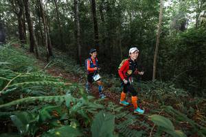 BIB: 
                            <button type="button" onclick="openModal(22478750)" class="btn btn-primary btn-sm float-right btn-popup" data-toggle="modal" data-target=".modal-high-quality">
                        <i class="fas fa-shopping-cart"></i> Add to Cart
                    </button>
                                            <button type="button" onclick="isThisMe(22478750, true)" class="btn btn-success btn-sm float-right btn-popup btn-isme hidden" data-toggle="tooltip" data-placement="bottom" title="นี่คือรูปของคุณใช่ไหม คลิกที่นี่เพื่อเอาเข้าอัลบั้ม">
                        <i class="fas fa-plus"></i> Add to album
                    </button>
                    <button type="button" onclick="isThisMe(22478750, false)" class="btn btn-warning btn-sm float-right btn-popup btn-isnotme hidden">
                        <i class="fas fa-ban"></i> Remove from album
                    </button>