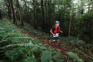 BIB: 
                            <button type="button" onclick="openModal(22483431)" class="btn btn-primary btn-sm float-right btn-popup" data-toggle="modal" data-target=".modal-high-quality">
                        <i class="fas fa-shopping-cart"></i> Add to Cart
                    </button>
                                            <button type="button" onclick="isThisMe(22483431, true)" class="btn btn-success btn-sm float-right btn-popup btn-isme hidden" data-toggle="tooltip" data-placement="bottom" title="นี่คือรูปของคุณใช่ไหม คลิกที่นี่เพื่อเอาเข้าอัลบั้ม">
                        <i class="fas fa-plus"></i> Add to album
                    </button>
                    <button type="button" onclick="isThisMe(22483431, false)" class="btn btn-warning btn-sm float-right btn-popup btn-isnotme hidden">
                        <i class="fas fa-ban"></i> Remove from album
                    </button>