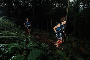 BIB: 
                            <button type="button" onclick="openModal(22436864)" class="btn btn-primary btn-sm float-right btn-popup" data-toggle="modal" data-target=".modal-high-quality">
                        <i class="fas fa-shopping-cart"></i> Add to Cart
                    </button>
                                            <button type="button" onclick="isThisMe(22436864, true)" class="btn btn-success btn-sm float-right btn-popup btn-isme hidden" data-toggle="tooltip" data-placement="bottom" title="นี่คือรูปของคุณใช่ไหม คลิกที่นี่เพื่อเอาเข้าอัลบั้ม">
                        <i class="fas fa-plus"></i> Add to album
                    </button>
                    <button type="button" onclick="isThisMe(22436864, false)" class="btn btn-warning btn-sm float-right btn-popup btn-isnotme hidden">
                        <i class="fas fa-ban"></i> Remove from album
                    </button>