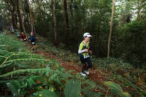 BIB: 
                            <button type="button" onclick="openModal(22464758)" class="btn btn-primary btn-sm float-right btn-popup" data-toggle="modal" data-target=".modal-high-quality">
                        <i class="fas fa-shopping-cart"></i> Add to Cart
                    </button>
                                            <button type="button" onclick="isThisMe(22464758, true)" class="btn btn-success btn-sm float-right btn-popup btn-isme hidden" data-toggle="tooltip" data-placement="bottom" title="นี่คือรูปของคุณใช่ไหม คลิกที่นี่เพื่อเอาเข้าอัลบั้ม">
                        <i class="fas fa-plus"></i> Add to album
                    </button>
                    <button type="button" onclick="isThisMe(22464758, false)" class="btn btn-warning btn-sm float-right btn-popup btn-isnotme hidden">
                        <i class="fas fa-ban"></i> Remove from album
                    </button>