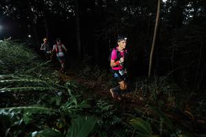 BIB: 
                            <button type="button" onclick="openModal(22431825)" class="btn btn-primary btn-sm float-right btn-popup" data-toggle="modal" data-target=".modal-high-quality">
                        <i class="fas fa-shopping-cart"></i> Add to Cart
                    </button>
                                            <button type="button" onclick="isThisMe(22431825, true)" class="btn btn-success btn-sm float-right btn-popup btn-isme hidden" data-toggle="tooltip" data-placement="bottom" title="นี่คือรูปของคุณใช่ไหม คลิกที่นี่เพื่อเอาเข้าอัลบั้ม">
                        <i class="fas fa-plus"></i> Add to album
                    </button>
                    <button type="button" onclick="isThisMe(22431825, false)" class="btn btn-warning btn-sm float-right btn-popup btn-isnotme hidden">
                        <i class="fas fa-ban"></i> Remove from album
                    </button>