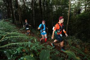 BIB: 
                            <button type="button" onclick="openModal(22463174)" class="btn btn-primary btn-sm float-right btn-popup" data-toggle="modal" data-target=".modal-high-quality">
                        <i class="fas fa-shopping-cart"></i> Add to Cart
                    </button>
                                            <button type="button" onclick="isThisMe(22463174, true)" class="btn btn-success btn-sm float-right btn-popup btn-isme hidden" data-toggle="tooltip" data-placement="bottom" title="นี่คือรูปของคุณใช่ไหม คลิกที่นี่เพื่อเอาเข้าอัลบั้ม">
                        <i class="fas fa-plus"></i> Add to album
                    </button>
                    <button type="button" onclick="isThisMe(22463174, false)" class="btn btn-warning btn-sm float-right btn-popup btn-isnotme hidden">
                        <i class="fas fa-ban"></i> Remove from album
                    </button>