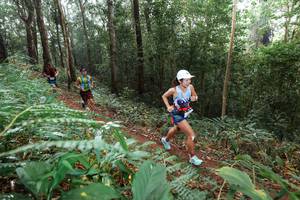 BIB: 
                            <button type="button" onclick="openModal(22485856)" class="btn btn-primary btn-sm float-right btn-popup" data-toggle="modal" data-target=".modal-high-quality">
                        <i class="fas fa-shopping-cart"></i> Add to Cart
                    </button>
                                            <button type="button" onclick="isThisMe(22485856, true)" class="btn btn-success btn-sm float-right btn-popup btn-isme hidden" data-toggle="tooltip" data-placement="bottom" title="นี่คือรูปของคุณใช่ไหม คลิกที่นี่เพื่อเอาเข้าอัลบั้ม">
                        <i class="fas fa-plus"></i> Add to album
                    </button>
                    <button type="button" onclick="isThisMe(22485856, false)" class="btn btn-warning btn-sm float-right btn-popup btn-isnotme hidden">
                        <i class="fas fa-ban"></i> Remove from album
                    </button>