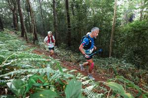 BIB: 
                            <button type="button" onclick="openModal(22484716)" class="btn btn-primary btn-sm float-right btn-popup" data-toggle="modal" data-target=".modal-high-quality">
                        <i class="fas fa-shopping-cart"></i> Add to Cart
                    </button>
                                            <button type="button" onclick="isThisMe(22484716, true)" class="btn btn-success btn-sm float-right btn-popup btn-isme hidden" data-toggle="tooltip" data-placement="bottom" title="นี่คือรูปของคุณใช่ไหม คลิกที่นี่เพื่อเอาเข้าอัลบั้ม">
                        <i class="fas fa-plus"></i> Add to album
                    </button>
                    <button type="button" onclick="isThisMe(22484716, false)" class="btn btn-warning btn-sm float-right btn-popup btn-isnotme hidden">
                        <i class="fas fa-ban"></i> Remove from album
                    </button>