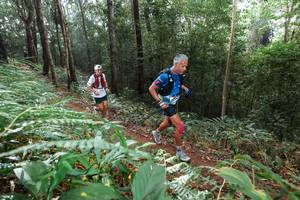 BIB: 
                            <button type="button" onclick="openModal(22484718)" class="btn btn-primary btn-sm float-right btn-popup" data-toggle="modal" data-target=".modal-high-quality">
                        <i class="fas fa-shopping-cart"></i> Add to Cart
                    </button>
                                            <button type="button" onclick="isThisMe(22484718, true)" class="btn btn-success btn-sm float-right btn-popup btn-isme hidden" data-toggle="tooltip" data-placement="bottom" title="นี่คือรูปของคุณใช่ไหม คลิกที่นี่เพื่อเอาเข้าอัลบั้ม">
                        <i class="fas fa-plus"></i> Add to album
                    </button>
                    <button type="button" onclick="isThisMe(22484718, false)" class="btn btn-warning btn-sm float-right btn-popup btn-isnotme hidden">
                        <i class="fas fa-ban"></i> Remove from album
                    </button>