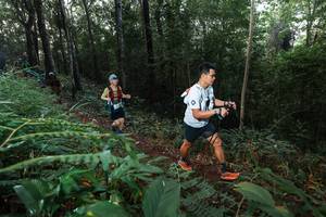 BIB: 
                            <button type="button" onclick="openModal(22465542)" class="btn btn-primary btn-sm float-right btn-popup" data-toggle="modal" data-target=".modal-high-quality">
                        <i class="fas fa-shopping-cart"></i> Add to Cart
                    </button>
                                            <button type="button" onclick="isThisMe(22465542, true)" class="btn btn-success btn-sm float-right btn-popup btn-isme hidden" data-toggle="tooltip" data-placement="bottom" title="นี่คือรูปของคุณใช่ไหม คลิกที่นี่เพื่อเอาเข้าอัลบั้ม">
                        <i class="fas fa-plus"></i> Add to album
                    </button>
                    <button type="button" onclick="isThisMe(22465542, false)" class="btn btn-warning btn-sm float-right btn-popup btn-isnotme hidden">
                        <i class="fas fa-ban"></i> Remove from album
                    </button>