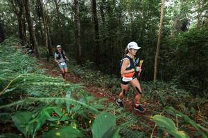 BIB: 6409
                            <button type="button" onclick="openModal(22487125)" class="btn btn-primary btn-sm float-right btn-popup" data-toggle="modal" data-target=".modal-high-quality">
                        <i class="fas fa-shopping-cart"></i> Add to Cart
                    </button>
                                            <button type="button" onclick="isThisMe(22487125, true)" class="btn btn-success btn-sm float-right btn-popup btn-isme hidden" data-toggle="tooltip" data-placement="bottom" title="นี่คือรูปของคุณใช่ไหม คลิกที่นี่เพื่อเอาเข้าอัลบั้ม">
                        <i class="fas fa-plus"></i> Add to album
                    </button>
                    <button type="button" onclick="isThisMe(22487125, false)" class="btn btn-warning btn-sm float-right btn-popup btn-isnotme hidden">
                        <i class="fas fa-ban"></i> Remove from album
                    </button>