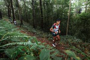 BIB: 
                            <button type="button" onclick="openModal(22482222)" class="btn btn-primary btn-sm float-right btn-popup" data-toggle="modal" data-target=".modal-high-quality">
                        <i class="fas fa-shopping-cart"></i> Add to Cart
                    </button>
                                            <button type="button" onclick="isThisMe(22482222, true)" class="btn btn-success btn-sm float-right btn-popup btn-isme hidden" data-toggle="tooltip" data-placement="bottom" title="นี่คือรูปของคุณใช่ไหม คลิกที่นี่เพื่อเอาเข้าอัลบั้ม">
                        <i class="fas fa-plus"></i> Add to album
                    </button>
                    <button type="button" onclick="isThisMe(22482222, false)" class="btn btn-warning btn-sm float-right btn-popup btn-isnotme hidden">
                        <i class="fas fa-ban"></i> Remove from album
                    </button>