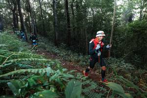 BIB: 
                            <button type="button" onclick="openModal(22477303)" class="btn btn-primary btn-sm float-right btn-popup" data-toggle="modal" data-target=".modal-high-quality">
                        <i class="fas fa-shopping-cart"></i> Add to Cart
                    </button>
                                            <button type="button" onclick="isThisMe(22477303, true)" class="btn btn-success btn-sm float-right btn-popup btn-isme hidden" data-toggle="tooltip" data-placement="bottom" title="นี่คือรูปของคุณใช่ไหม คลิกที่นี่เพื่อเอาเข้าอัลบั้ม">
                        <i class="fas fa-plus"></i> Add to album
                    </button>
                    <button type="button" onclick="isThisMe(22477303, false)" class="btn btn-warning btn-sm float-right btn-popup btn-isnotme hidden">
                        <i class="fas fa-ban"></i> Remove from album
                    </button>