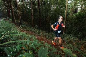 BIB: 
                            <button type="button" onclick="openModal(22463958)" class="btn btn-primary btn-sm float-right btn-popup" data-toggle="modal" data-target=".modal-high-quality">
                        <i class="fas fa-shopping-cart"></i> Add to Cart
                    </button>
                                            <button type="button" onclick="isThisMe(22463958, true)" class="btn btn-success btn-sm float-right btn-popup btn-isme hidden" data-toggle="tooltip" data-placement="bottom" title="นี่คือรูปของคุณใช่ไหม คลิกที่นี่เพื่อเอาเข้าอัลบั้ม">
                        <i class="fas fa-plus"></i> Add to album
                    </button>
                    <button type="button" onclick="isThisMe(22463958, false)" class="btn btn-warning btn-sm float-right btn-popup btn-isnotme hidden">
                        <i class="fas fa-ban"></i> Remove from album
                    </button>