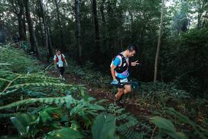 BIB: 
                            <button type="button" onclick="openModal(22466188)" class="btn btn-primary btn-sm float-right btn-popup" data-toggle="modal" data-target=".modal-high-quality">
                        <i class="fas fa-shopping-cart"></i> Add to Cart
                    </button>
                                            <button type="button" onclick="isThisMe(22466188, true)" class="btn btn-success btn-sm float-right btn-popup btn-isme hidden" data-toggle="tooltip" data-placement="bottom" title="นี่คือรูปของคุณใช่ไหม คลิกที่นี่เพื่อเอาเข้าอัลบั้ม">
                        <i class="fas fa-plus"></i> Add to album
                    </button>
                    <button type="button" onclick="isThisMe(22466188, false)" class="btn btn-warning btn-sm float-right btn-popup btn-isnotme hidden">
                        <i class="fas fa-ban"></i> Remove from album
                    </button>