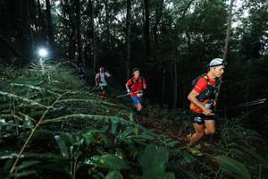 BIB: 
                            <button type="button" onclick="openModal(22450265)" class="btn btn-primary btn-sm float-right btn-popup" data-toggle="modal" data-target=".modal-high-quality">
                        <i class="fas fa-shopping-cart"></i> Add to Cart
                    </button>
                                            <button type="button" onclick="isThisMe(22450265, true)" class="btn btn-success btn-sm float-right btn-popup btn-isme hidden" data-toggle="tooltip" data-placement="bottom" title="นี่คือรูปของคุณใช่ไหม คลิกที่นี่เพื่อเอาเข้าอัลบั้ม">
                        <i class="fas fa-plus"></i> Add to album
                    </button>
                    <button type="button" onclick="isThisMe(22450265, false)" class="btn btn-warning btn-sm float-right btn-popup btn-isnotme hidden">
                        <i class="fas fa-ban"></i> Remove from album
                    </button>