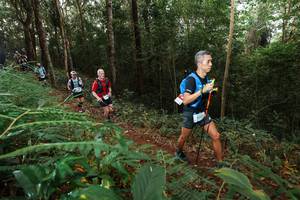 BIB: 9317
                            <button type="button" onclick="openModal(22464768)" class="btn btn-primary btn-sm float-right btn-popup" data-toggle="modal" data-target=".modal-high-quality">
                        <i class="fas fa-shopping-cart"></i> Add to Cart
                    </button>
                                            <button type="button" onclick="isThisMe(22464768, true)" class="btn btn-success btn-sm float-right btn-popup btn-isme hidden" data-toggle="tooltip" data-placement="bottom" title="นี่คือรูปของคุณใช่ไหม คลิกที่นี่เพื่อเอาเข้าอัลบั้ม">
                        <i class="fas fa-plus"></i> Add to album
                    </button>
                    <button type="button" onclick="isThisMe(22464768, false)" class="btn btn-warning btn-sm float-right btn-popup btn-isnotme hidden">
                        <i class="fas fa-ban"></i> Remove from album
                    </button>