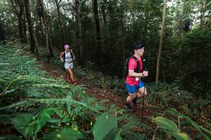 BIB: 
                            <button type="button" onclick="openModal(22487211)" class="btn btn-primary btn-sm float-right btn-popup" data-toggle="modal" data-target=".modal-high-quality">
                        <i class="fas fa-shopping-cart"></i> Add to Cart
                    </button>
                                            <button type="button" onclick="isThisMe(22487211, true)" class="btn btn-success btn-sm float-right btn-popup btn-isme hidden" data-toggle="tooltip" data-placement="bottom" title="นี่คือรูปของคุณใช่ไหม คลิกที่นี่เพื่อเอาเข้าอัลบั้ม">
                        <i class="fas fa-plus"></i> Add to album
                    </button>
                    <button type="button" onclick="isThisMe(22487211, false)" class="btn btn-warning btn-sm float-right btn-popup btn-isnotme hidden">
                        <i class="fas fa-ban"></i> Remove from album
                    </button>