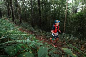 BIB: 
                            <button type="button" onclick="openModal(22483430)" class="btn btn-primary btn-sm float-right btn-popup" data-toggle="modal" data-target=".modal-high-quality">
                        <i class="fas fa-shopping-cart"></i> Add to Cart
                    </button>
                                            <button type="button" onclick="isThisMe(22483430, true)" class="btn btn-success btn-sm float-right btn-popup btn-isme hidden" data-toggle="tooltip" data-placement="bottom" title="นี่คือรูปของคุณใช่ไหม คลิกที่นี่เพื่อเอาเข้าอัลบั้ม">
                        <i class="fas fa-plus"></i> Add to album
                    </button>
                    <button type="button" onclick="isThisMe(22483430, false)" class="btn btn-warning btn-sm float-right btn-popup btn-isnotme hidden">
                        <i class="fas fa-ban"></i> Remove from album
                    </button>