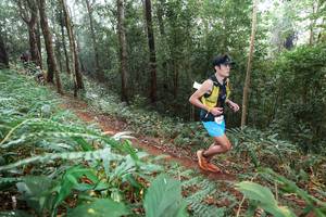 BIB: 
                            <button type="button" onclick="openModal(22485676)" class="btn btn-primary btn-sm float-right btn-popup" data-toggle="modal" data-target=".modal-high-quality">
                        <i class="fas fa-shopping-cart"></i> Add to Cart
                    </button>
                                            <button type="button" onclick="isThisMe(22485676, true)" class="btn btn-success btn-sm float-right btn-popup btn-isme hidden" data-toggle="tooltip" data-placement="bottom" title="นี่คือรูปของคุณใช่ไหม คลิกที่นี่เพื่อเอาเข้าอัลบั้ม">
                        <i class="fas fa-plus"></i> Add to album
                    </button>
                    <button type="button" onclick="isThisMe(22485676, false)" class="btn btn-warning btn-sm float-right btn-popup btn-isnotme hidden">
                        <i class="fas fa-ban"></i> Remove from album
                    </button>