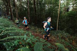 BIB: 
                            <button type="button" onclick="openModal(22464247)" class="btn btn-primary btn-sm float-right btn-popup" data-toggle="modal" data-target=".modal-high-quality">
                        <i class="fas fa-shopping-cart"></i> Add to Cart
                    </button>
                                            <button type="button" onclick="isThisMe(22464247, true)" class="btn btn-success btn-sm float-right btn-popup btn-isme hidden" data-toggle="tooltip" data-placement="bottom" title="นี่คือรูปของคุณใช่ไหม คลิกที่นี่เพื่อเอาเข้าอัลบั้ม">
                        <i class="fas fa-plus"></i> Add to album
                    </button>
                    <button type="button" onclick="isThisMe(22464247, false)" class="btn btn-warning btn-sm float-right btn-popup btn-isnotme hidden">
                        <i class="fas fa-ban"></i> Remove from album
                    </button>